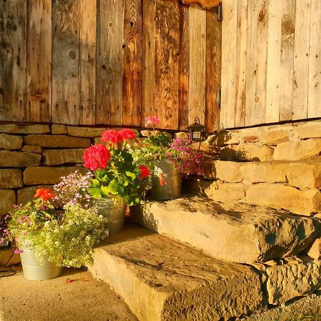 Granny'S House Villa Moisei Dış mekan fotoğraf