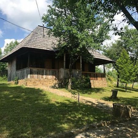 Granny'S House Villa Moisei Dış mekan fotoğraf