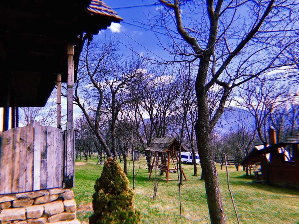 Granny'S House Villa Moisei Dış mekan fotoğraf