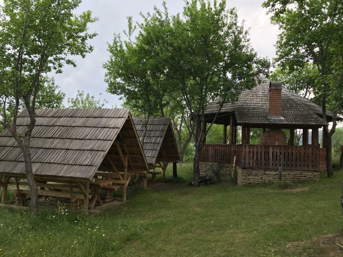Granny'S House Villa Moisei Dış mekan fotoğraf