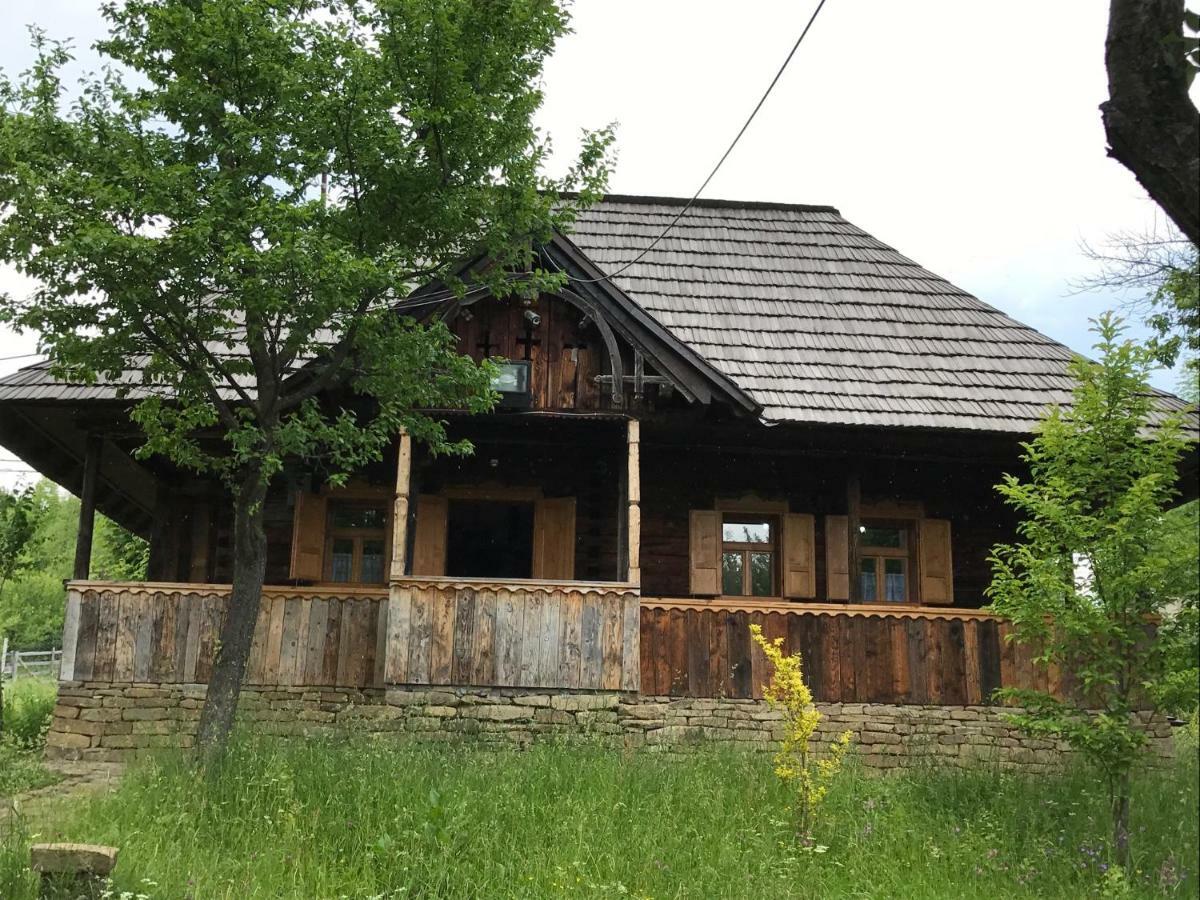Granny'S House Villa Moisei Dış mekan fotoğraf