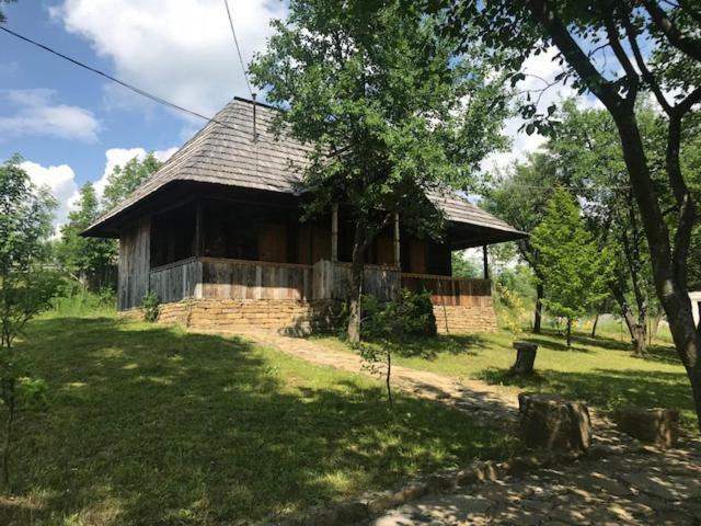 Granny'S House Villa Moisei Dış mekan fotoğraf
